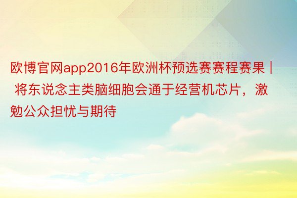 欧博官网app2016年欧洲杯预选赛赛程赛果 | 将东说念主类脑细胞会通于经营机芯片，激勉公众担忧与期待