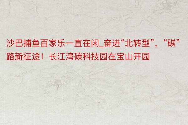 沙巴捕鱼百家乐一直在闲_奋进“北转型”，“碳”路新征途！长江湾碳科技园在宝山开园