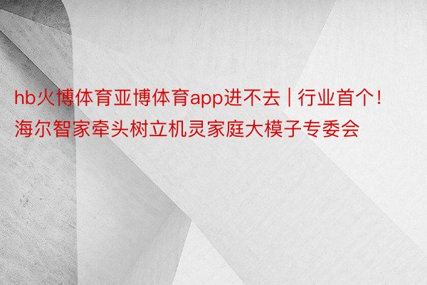 hb火博体育亚博体育app进不去 | 行业首个！海尔智家牵头树立机灵家庭大模子专委会