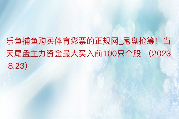 乐鱼捕鱼购买体育彩票的正规网_尾盘抢筹！当天尾盘主力资金最大买入前100只个股 （2023.8.23）