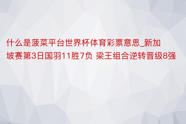 什么是菠菜平台世界杯体育彩票意思_新加坡赛第3日国羽11胜7负 梁王组合逆转晋级8强