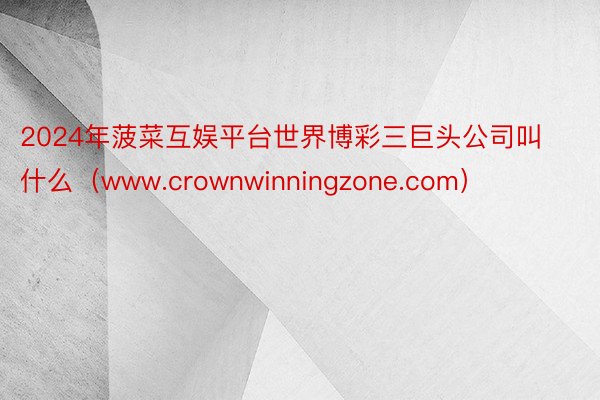 2024年菠菜互娱平台世界博彩三巨头公司叫什么（www.crownwinningzone.com）